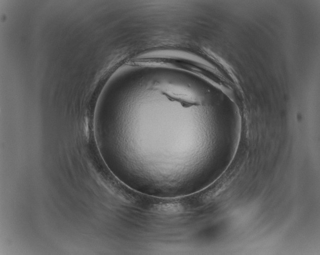 X0000070210067200605301413