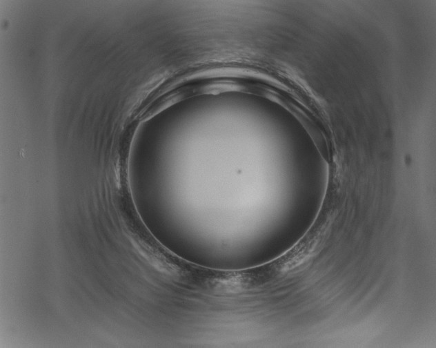 X0000070210068200605301413