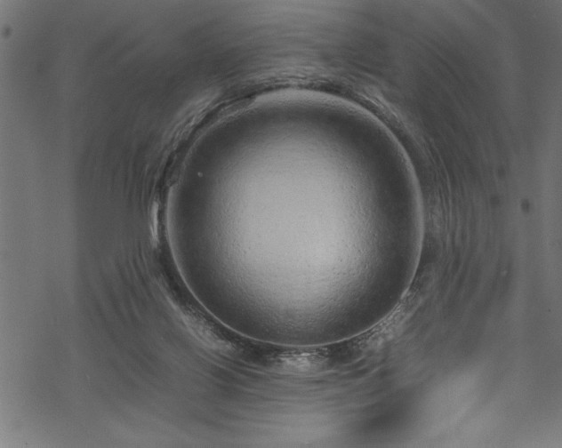 X0000070210070200605301413