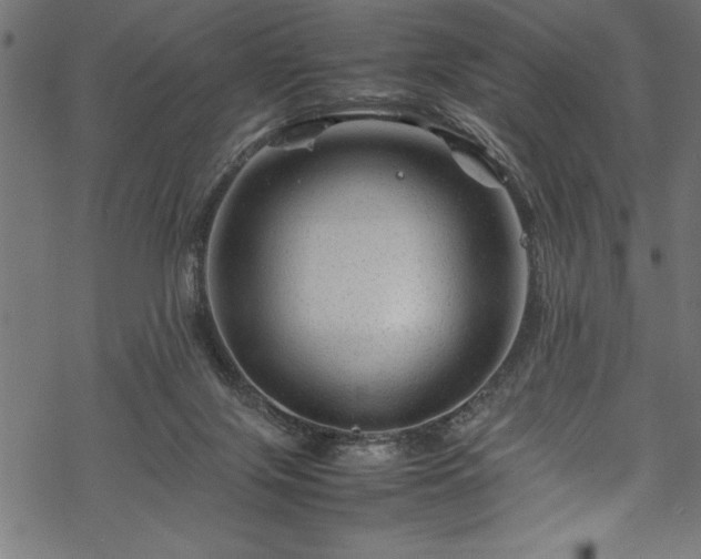 X0000070210071200605301413