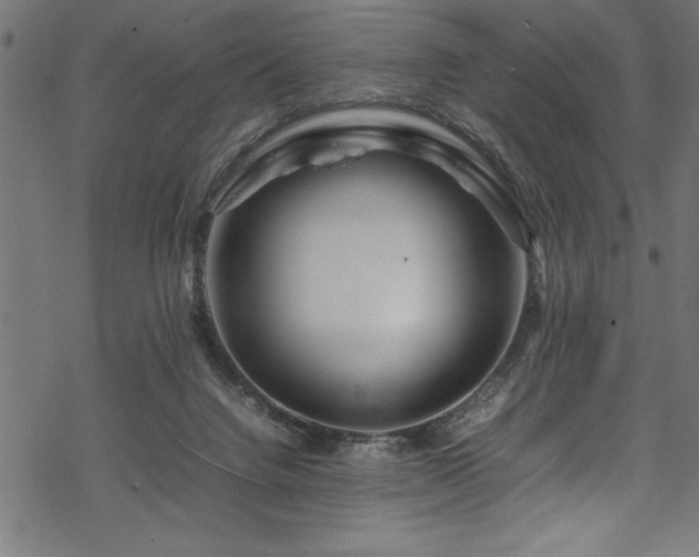 X0000070210072200605301413