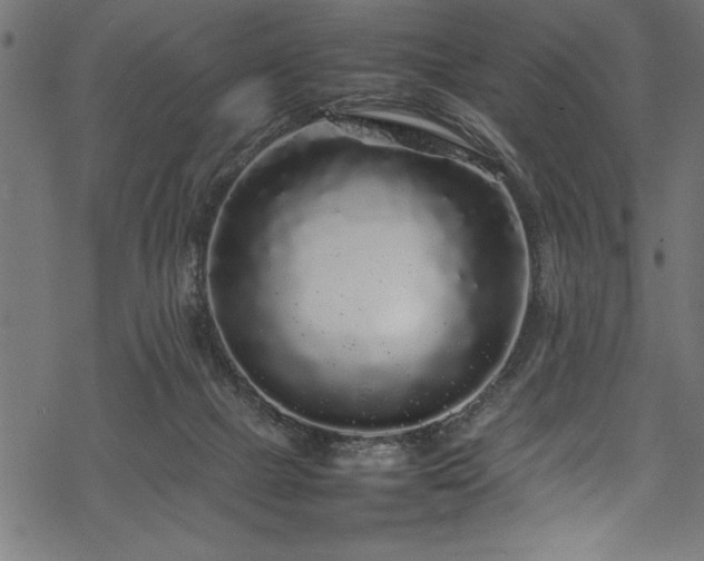 X0000070210073200605301413