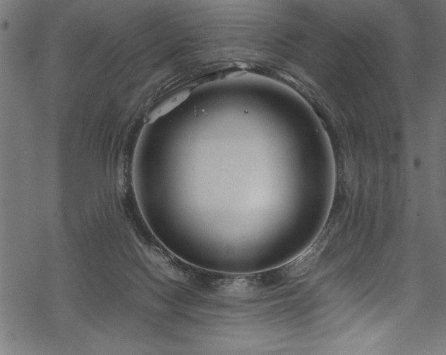 X0000070210074200605301413