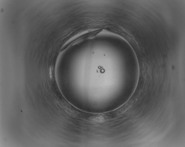 X0000070210075200605301413