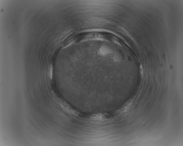 X0000070210076200605301413