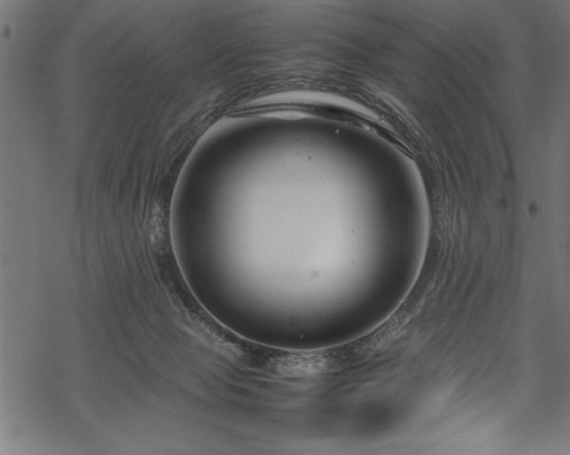 X0000070210077200605301413