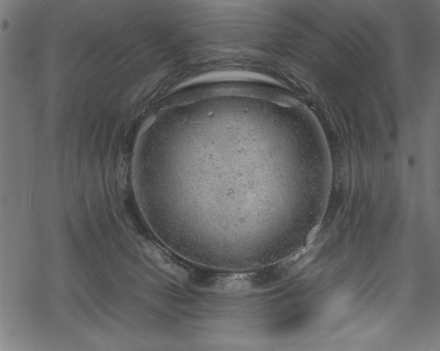 X0000070210078200605301413