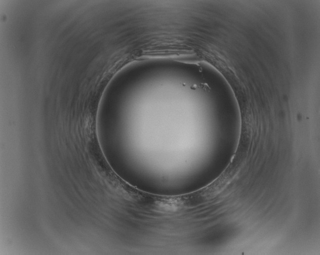 X0000070210079200605301413