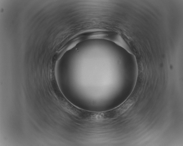 X0000070210080200605301413