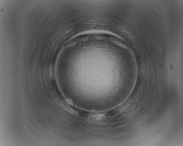 X0000070210081200605301413