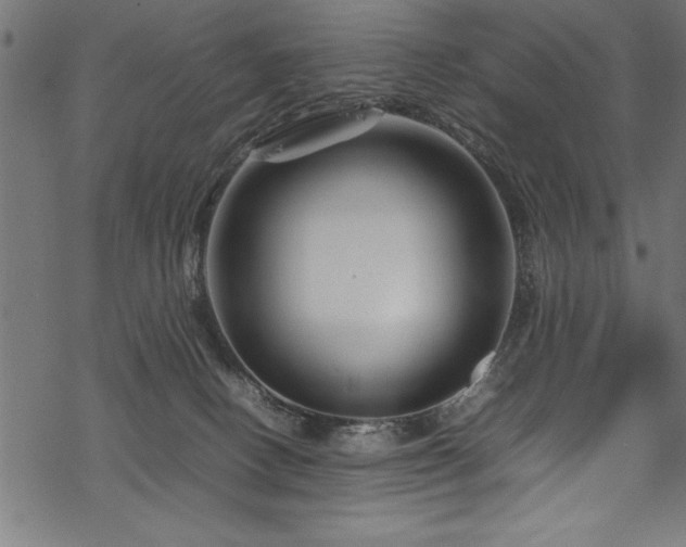 X0000070210082200605301413