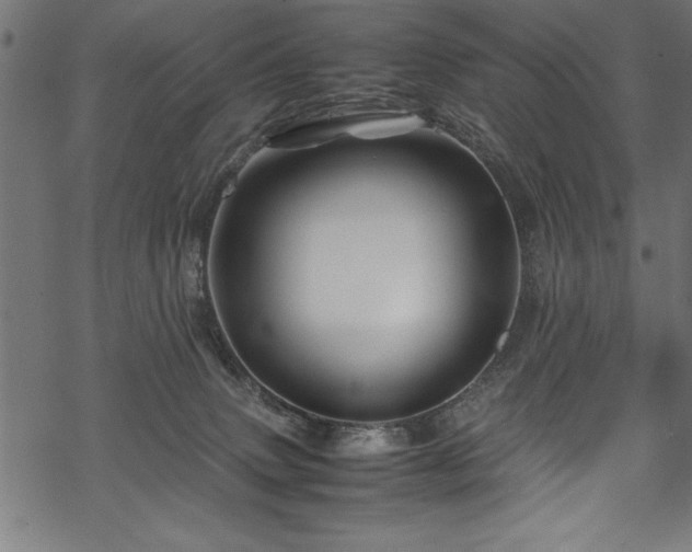 X0000070210083200605301413