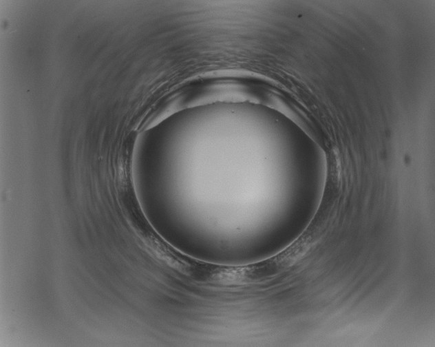 X0000070210084200605301413