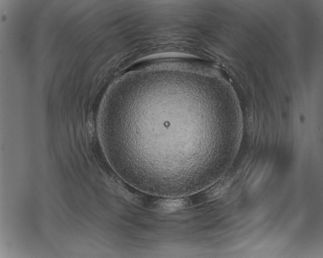 X0000070210085200605301413