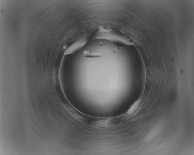 X0000070210086200605301413