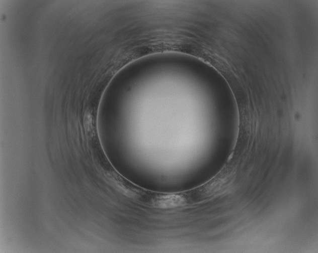 X0000070210087200605301413