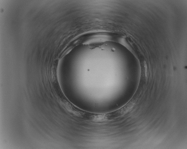 X0000070210088200605301413