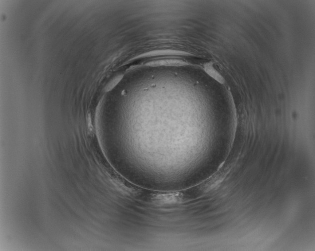 X0000070210089200605301413