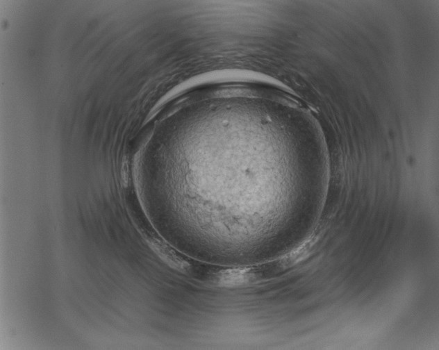 X0000070210090200605301413