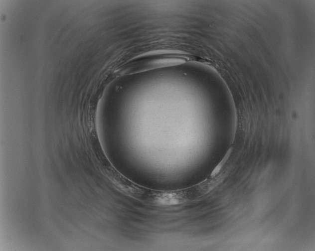 X0000070210091200605301413