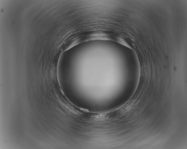 X0000070210092200605301413