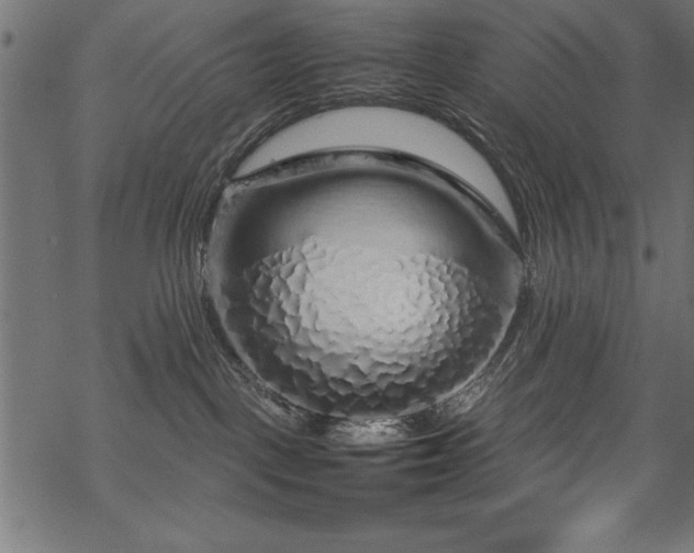 X0000070210093200605301413