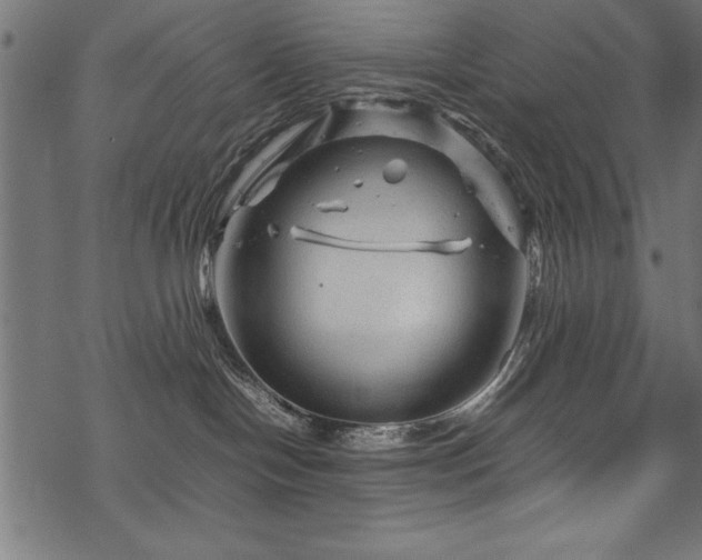 X0000070210094200605301413