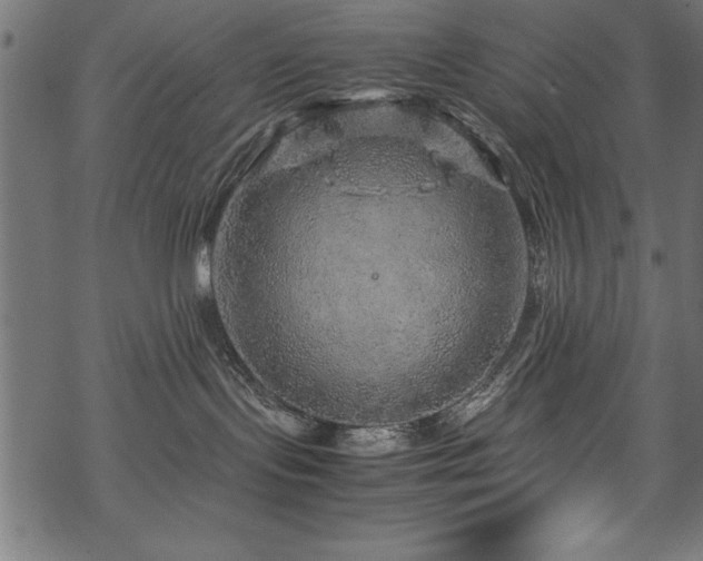 X0000070210095200605301413