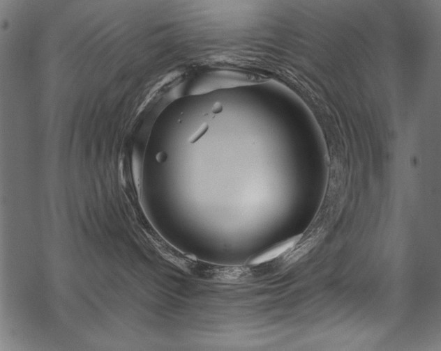 X0000070210096200605301413