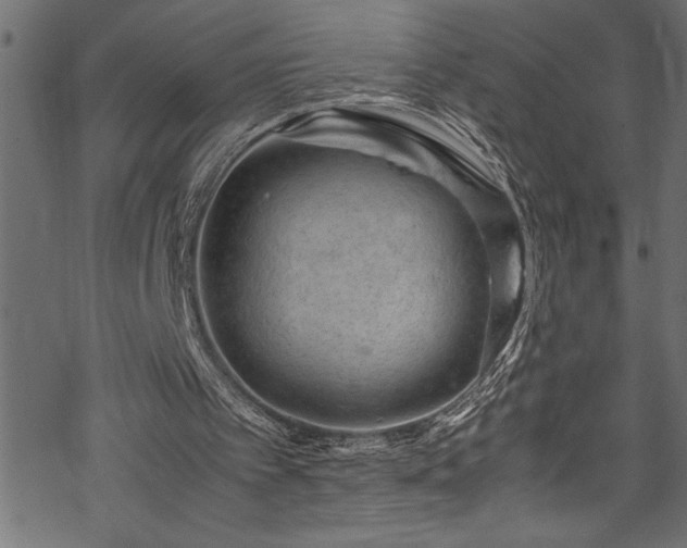 X0000070210097200605301412