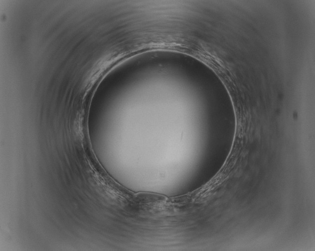 X0000070210098200605301412