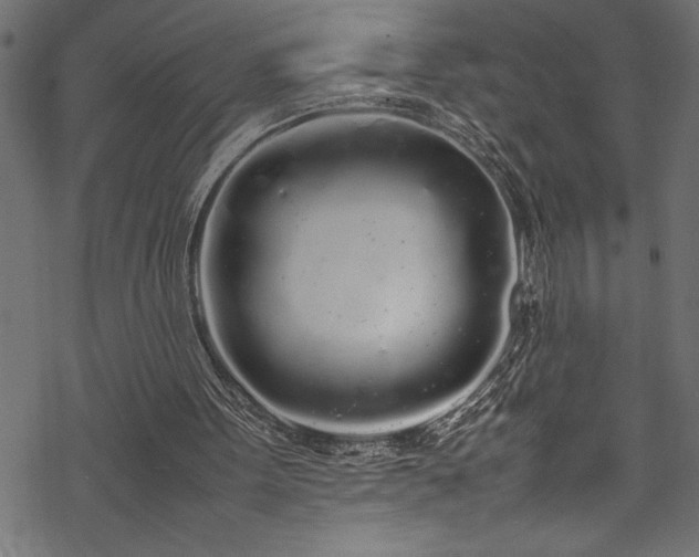 X0000070210099200605301412