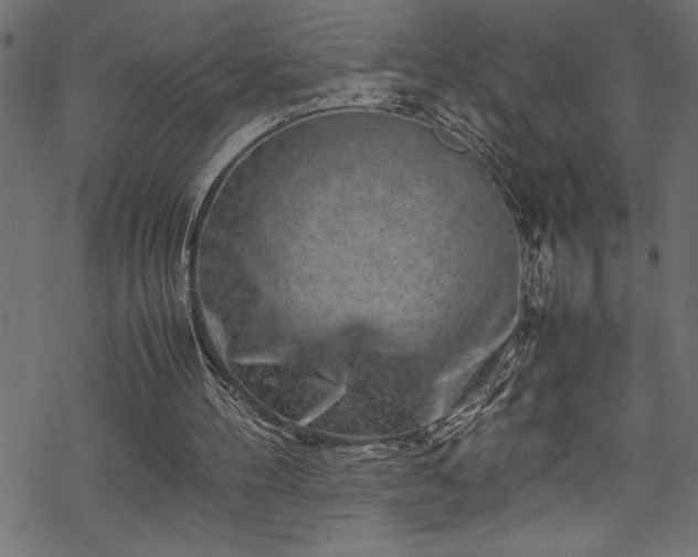 X0000070210100200605301412