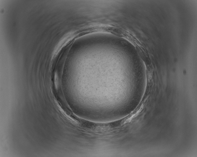 X0000070210101200605301412