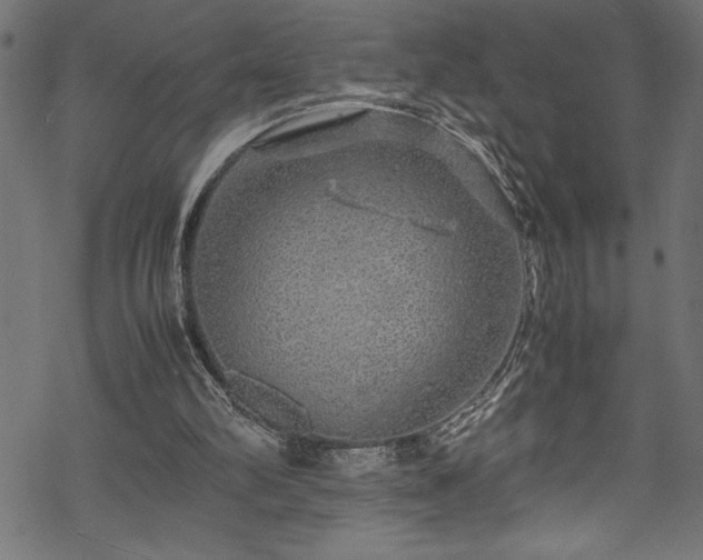 X0000070210102200605301412