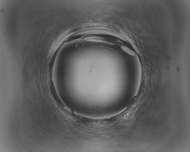 X0000070210103200605301412