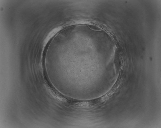 X0000070210104200605301412