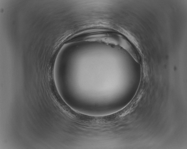 X0000070210105200605301412