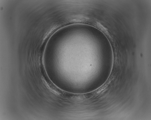 X0000070210106200605301412