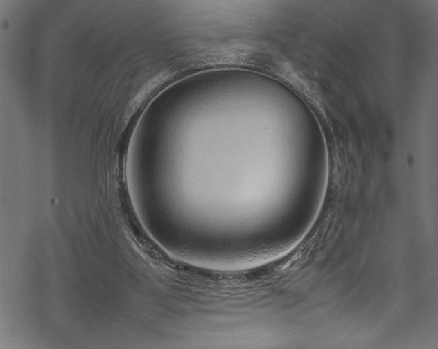 X0000070210107200605301412