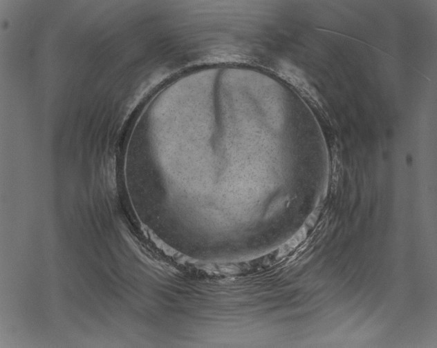 X0000070210108200605301412