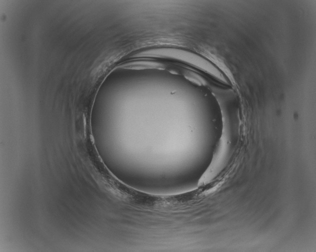 X0000070210109200605301412