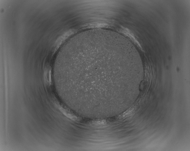 X0000070210110200605301412