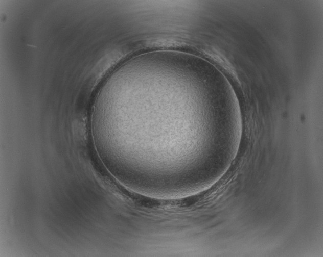 X0000070210111200605301412