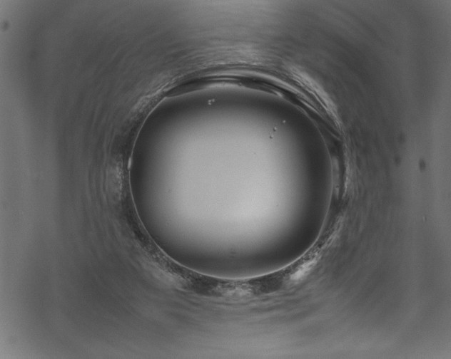 X0000070210113200605301412