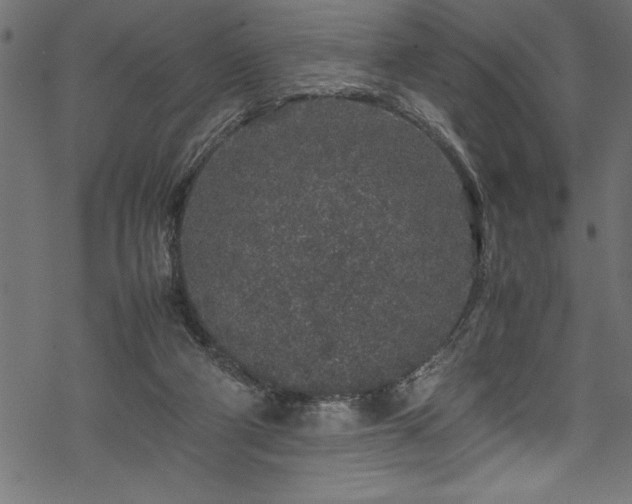 X0000070210114200605301412