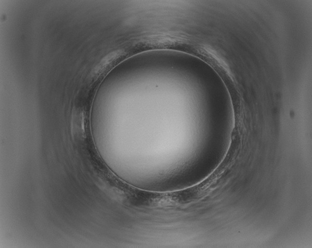 X0000070210115200605301412