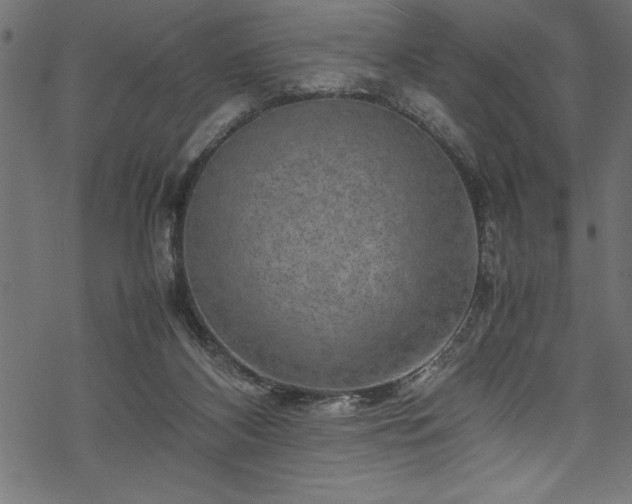 X0000070210116200605301412