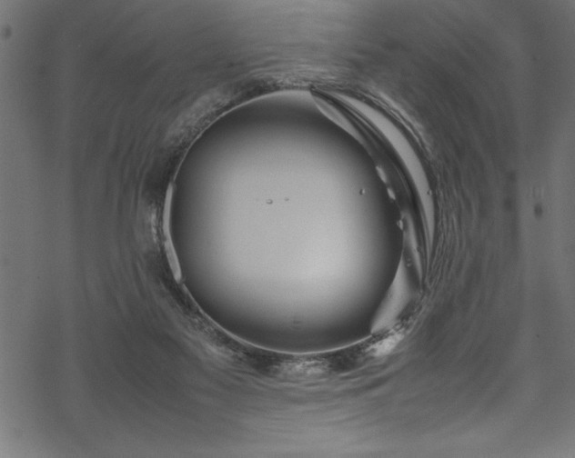 X0000070210117200605301412