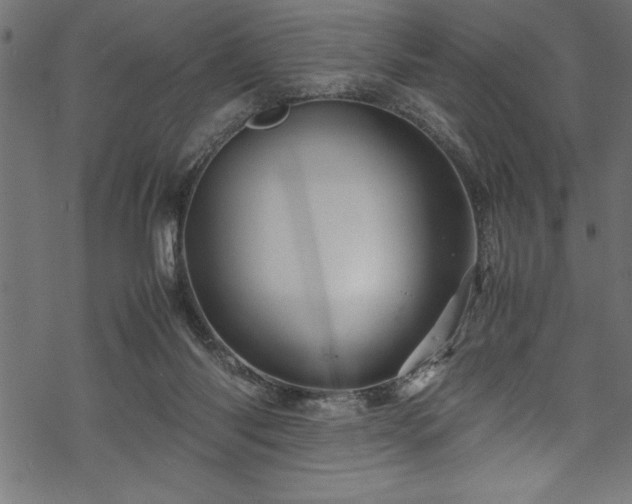 X0000070210118200605301412